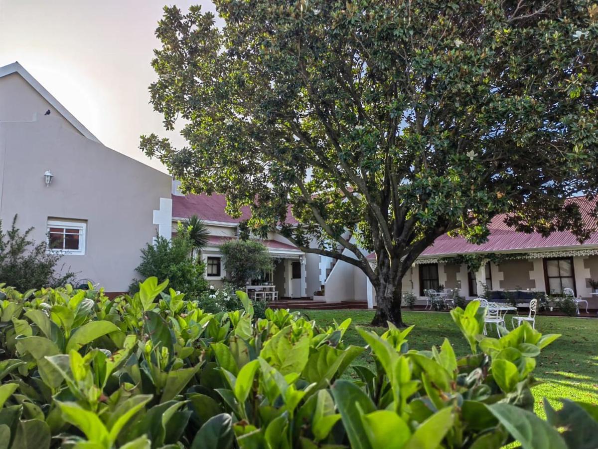 Monte Rosa Guesthouse Rawsonville Exterior photo